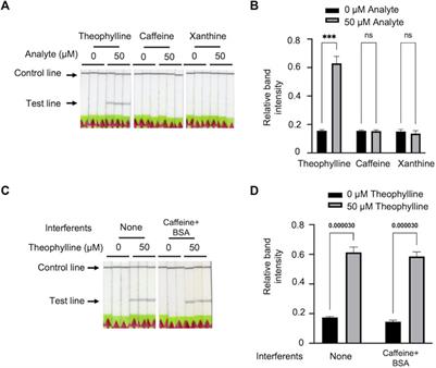 Bio-SCAN V2: A CRISPR/dCas9-based lateral flow assay for rapid detection of theophylline